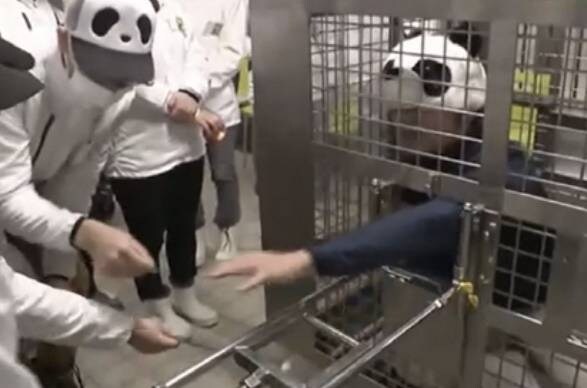 한일령으로 판다 반납한 일본 근황_1.jpg