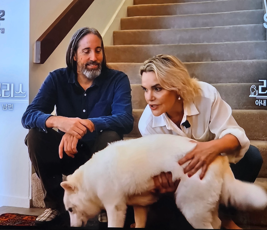 미국 가서 확대 당한 진도개_1.webp