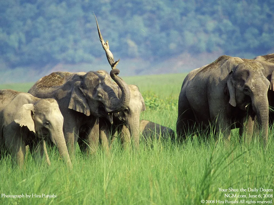 악어칼리버의 진실..._1.webp