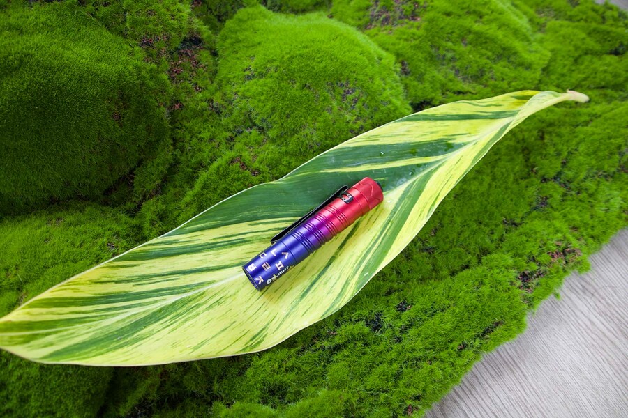 중국랜턴 회사가 한국에서 장사하는법_1.jpg