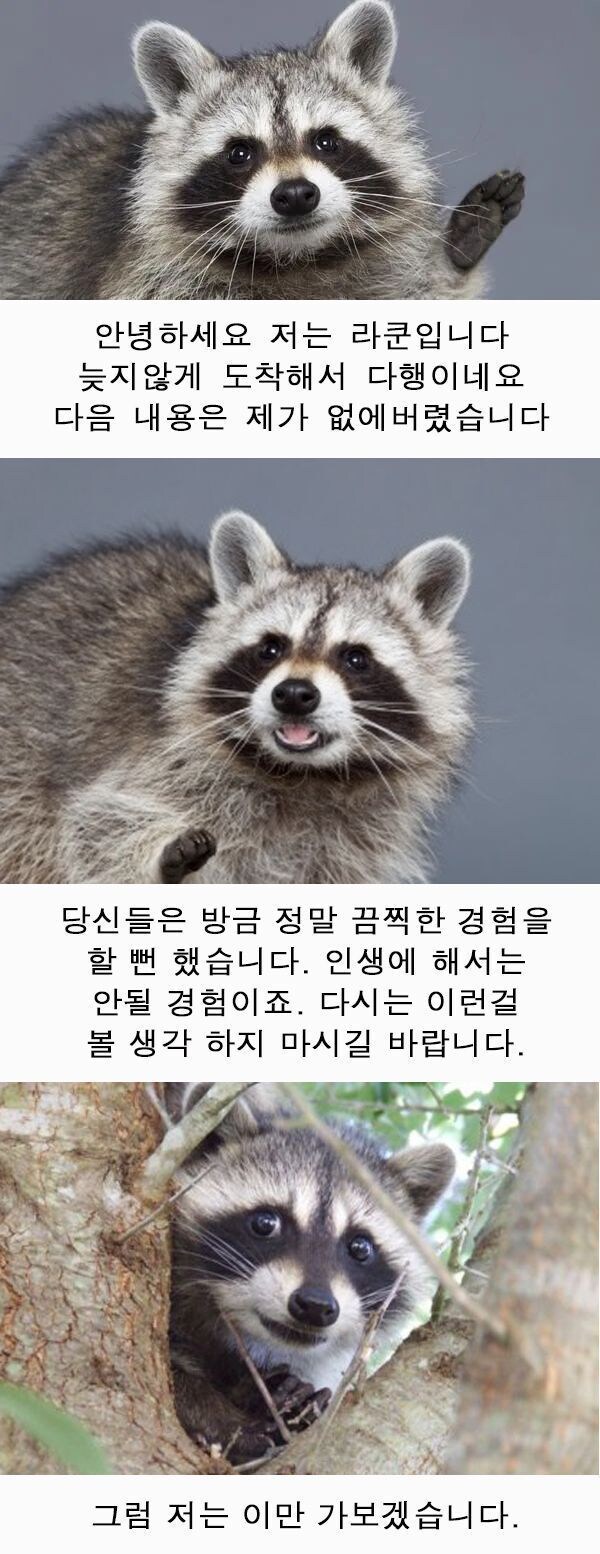 (후방주의) 꼴리는 오네쇼타 망가(19금)_6.jpg