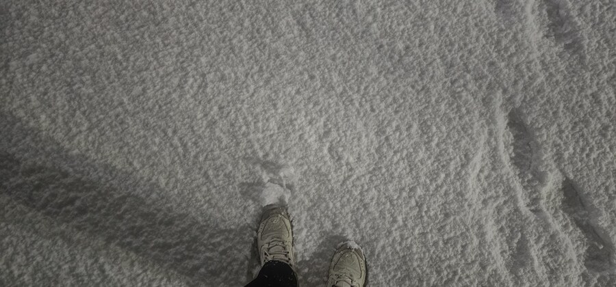 저.. 오늘이 유게 정모하는 날 맞죠..? ㅎㅎ_1.jpg