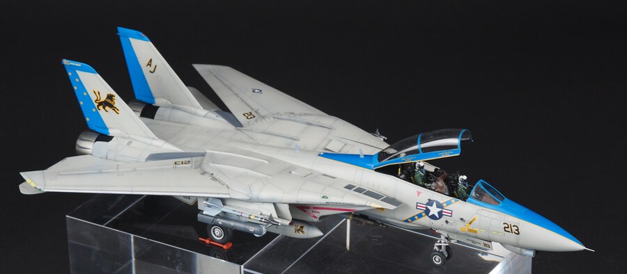 Tamiya 1/72 F-14D VF-213 Black Lions_1.jpg