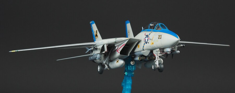 Tamiya 1/72 F-14D VF-213 Black Lions_2.jpg