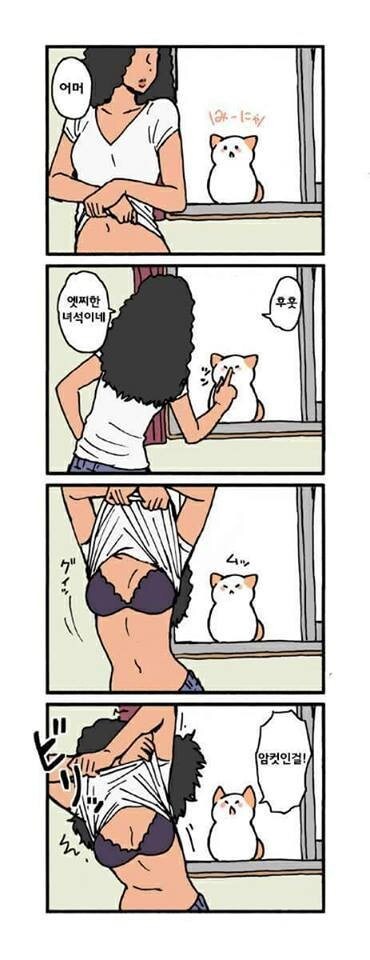 시크하게 말하는 고양이.manhwa_2.jpg