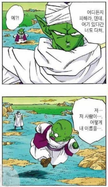 드래곤볼) 새로운 밈이 생긴 캐릭터_2.webp