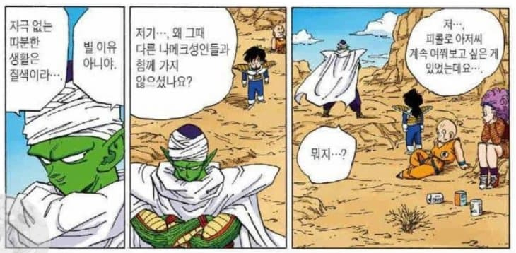 드래곤볼) 새로운 밈이 생긴 캐릭터_10.webp