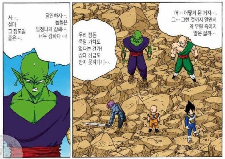 드래곤볼) 새로운 밈이 생긴 캐릭터_16.webp