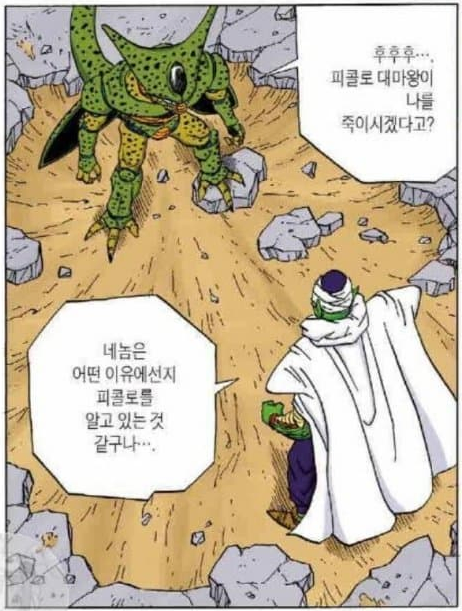 드래곤볼) 새로운 밈이 생긴 캐릭터_22.webp