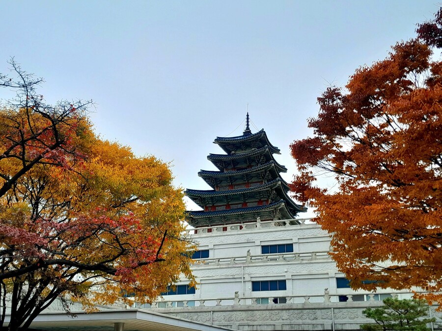 경복궁 가볼만하냐는 글이 있어서_5.jpg