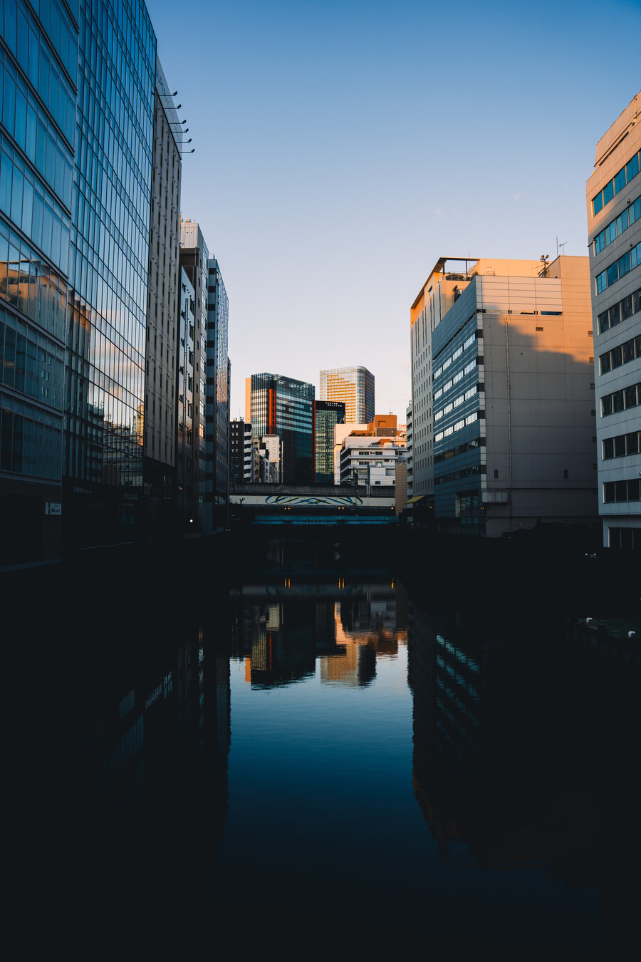 푸른 눈의 여친과의 도쿄 여행_20.jpg