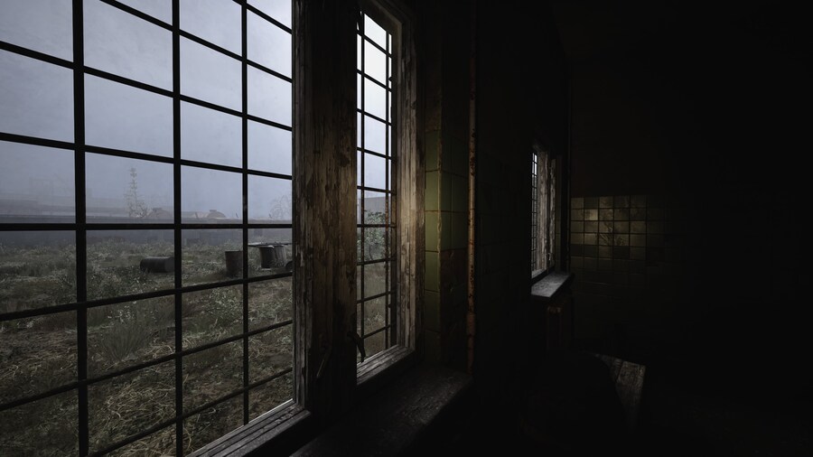 S_T_A_L_K_E_R_ 2_ Heart of Chornobyl_30.jpg