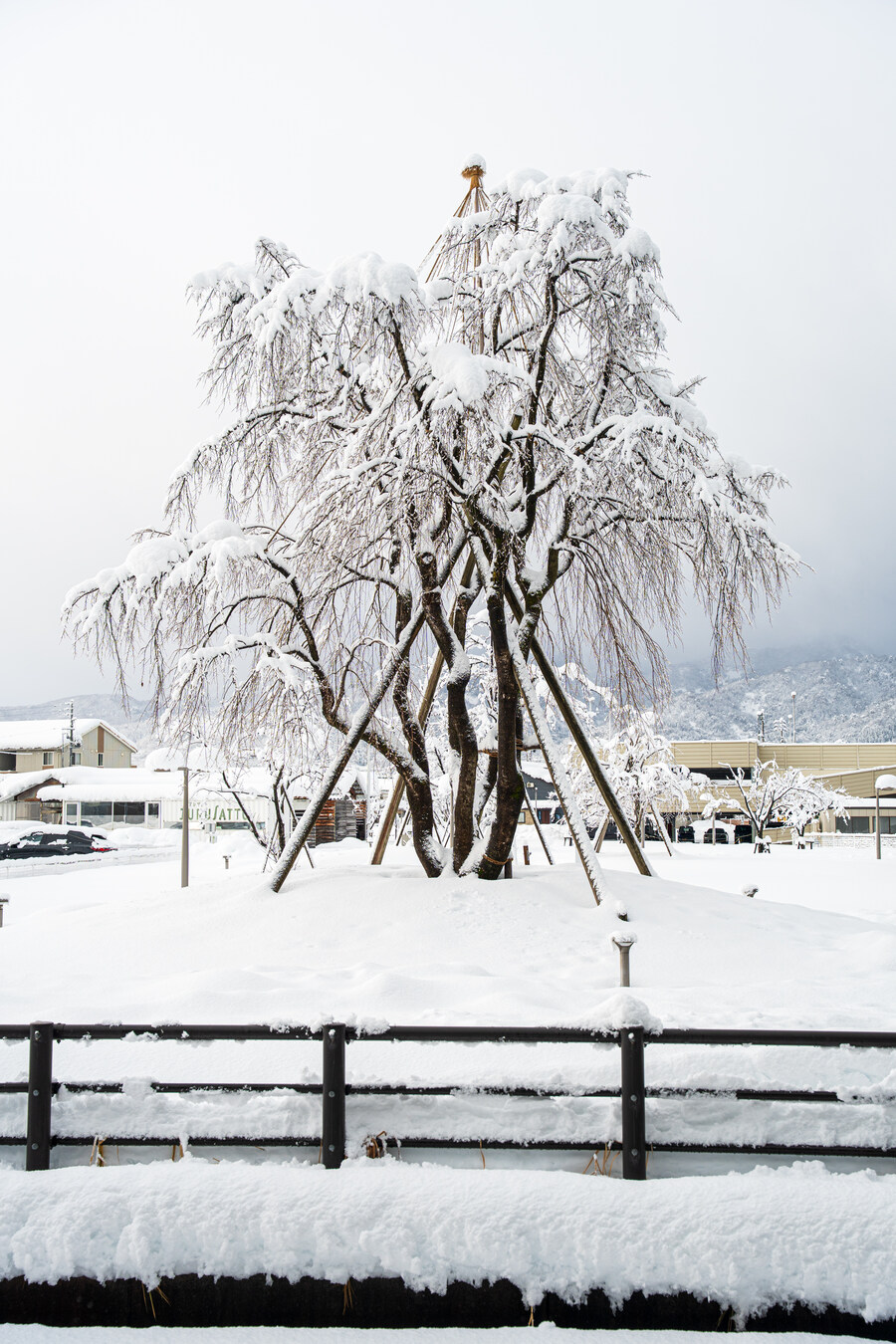 푸른 눈의 여친과의 도쿄 여행_115.jpg