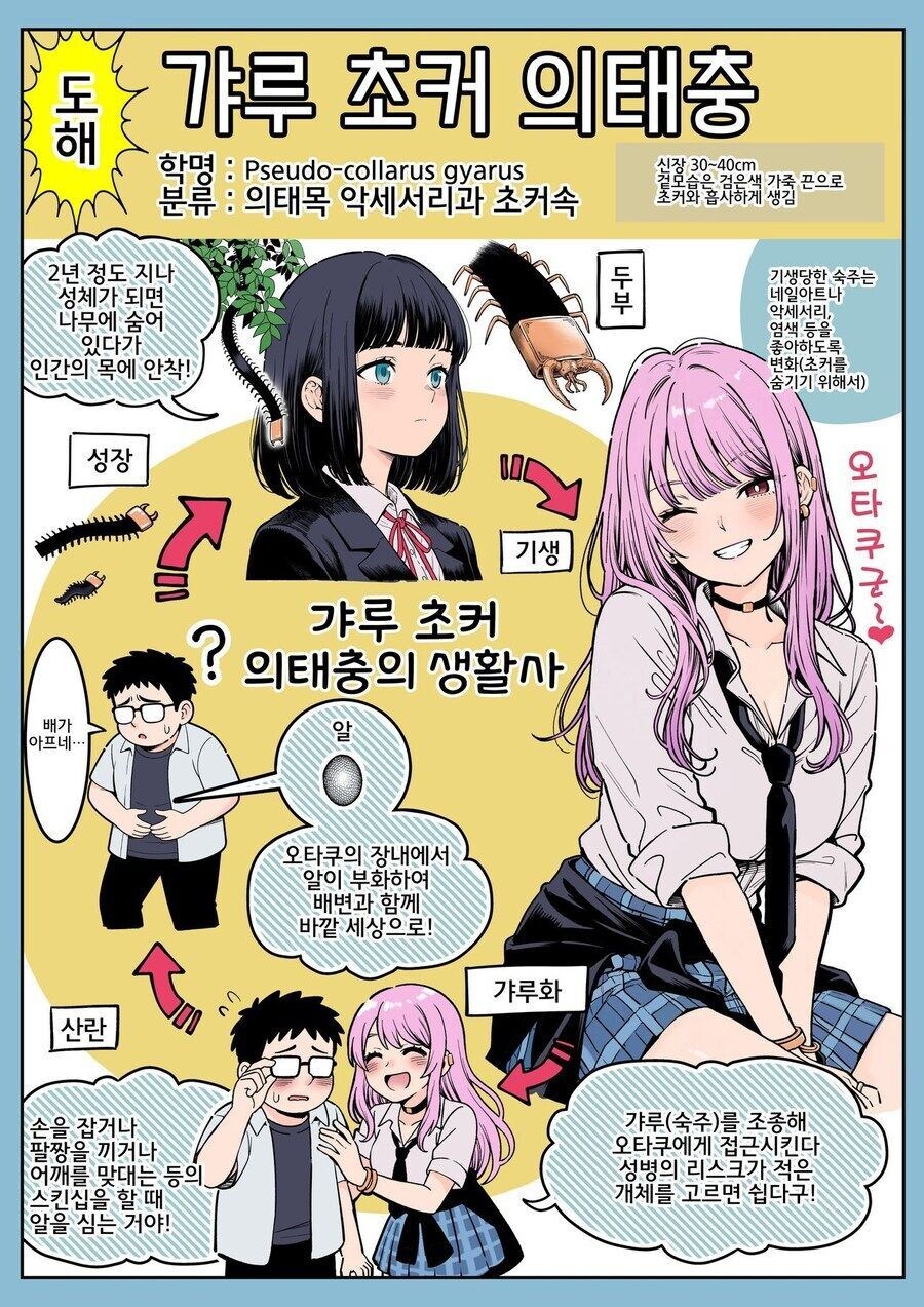 초커 의태형 기생 벌래_1.jpg