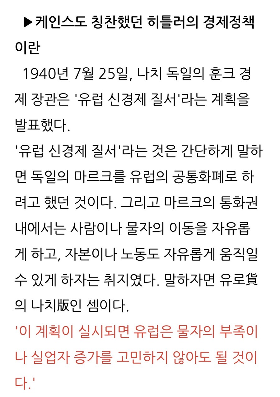 나치(국가사회주의 독일노동자당)가 국민들 지지를 얻었던 이유.jpg_34.jpg