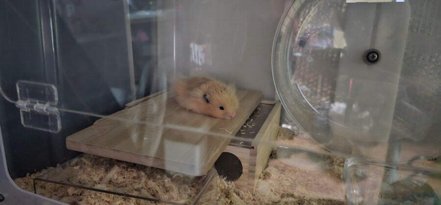 탭갈)오늘 출근하는 사람들 조심해야하는 이유_2.jpg