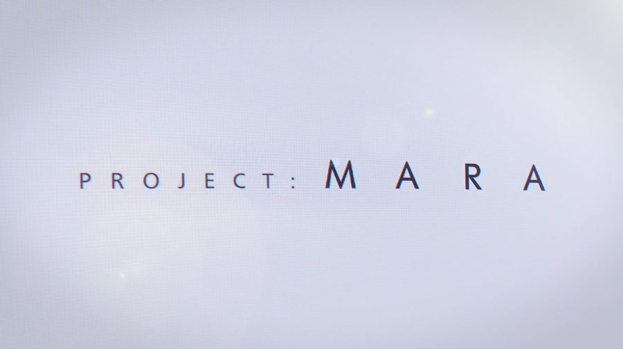 닌자 시어리의 프로젝트 마라는 보류 됐으며, 차기작은 헬블레이드3_1.jpg