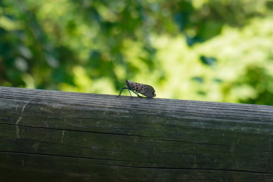 (스압) 한꺼번에 드랍~ 25년도 3분기 탐조_1.webp