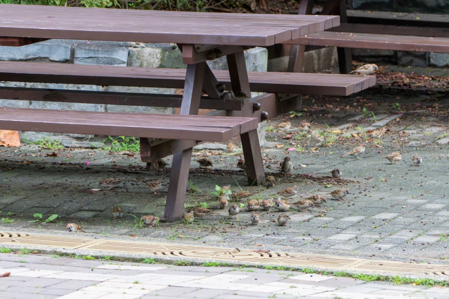 (스압) 한꺼번에 드랍~ 25년도 3분기 탐조_49.webp