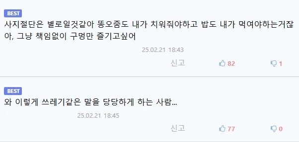 사지절단물이 별로라는 디씨인_1.webp