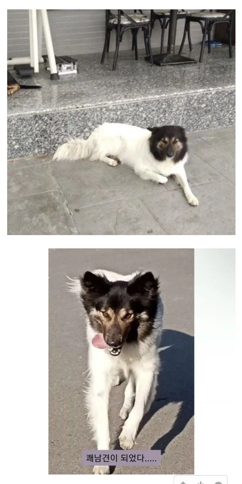 반반이 근황_2.webp