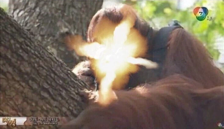 오랜 세월 끝에 재평가된 이 영화.movie_7.webp