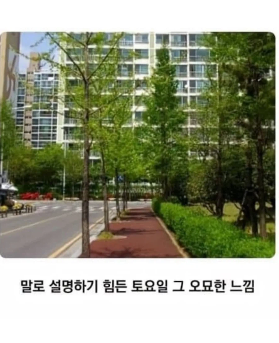 20년전 초등학교 풍경.jpg_9.webp