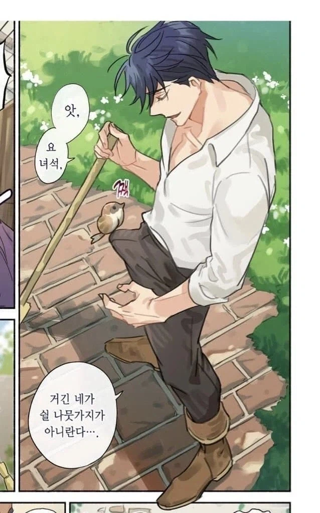 의외로 새가 쉴 수 있는 곳_1.webp