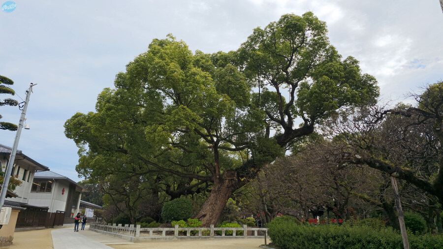 한국인 관광객들이 많이 가는 장소에 가봤는데.. 후쿠오카 2일차_31.jpg