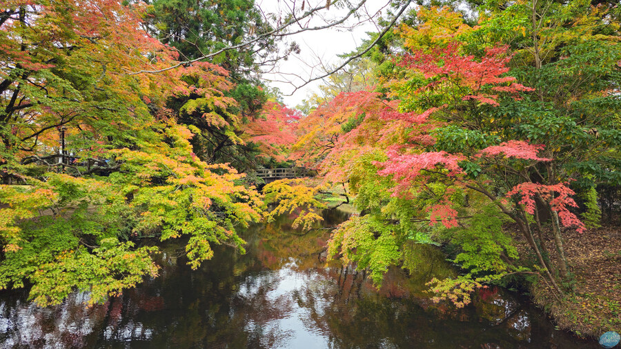 한국인 관광객들이 많이 가는 장소에 가봤는데.. 후쿠오카 2일차_88.jpg