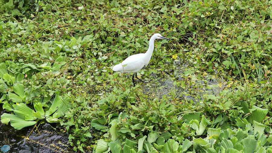 한국인 관광객들이 많이 가는 장소에 가봤는데.. 후쿠오카 2일차_92.jpg