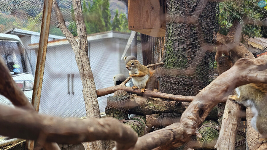 한국인 관광객들이 많이 가는 장소에 가봤는데.. 후쿠오카 2일차_116.jpg