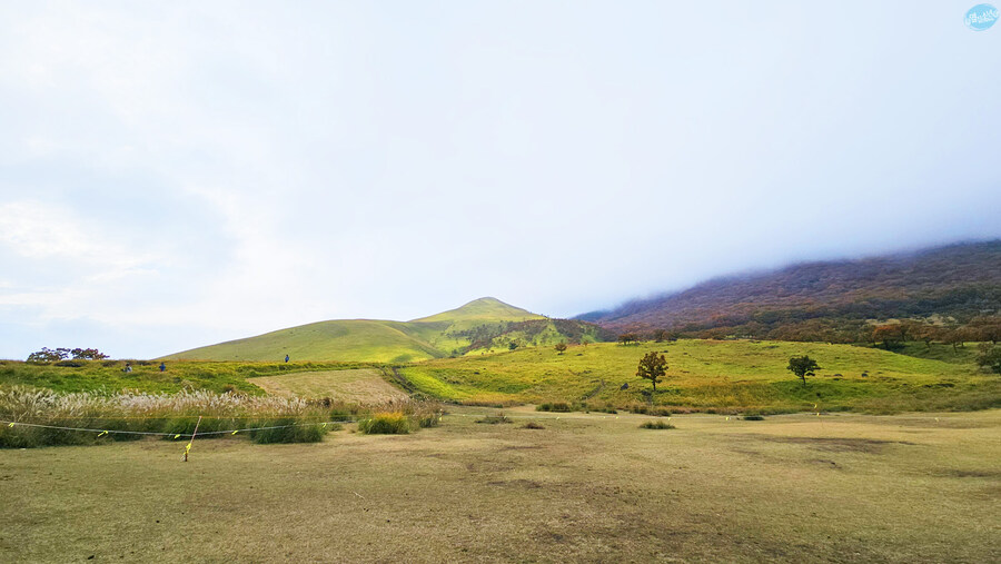 한국인 관광객들이 많이 가는 장소에 가봤는데.. 후쿠오카 2일차_140.jpg