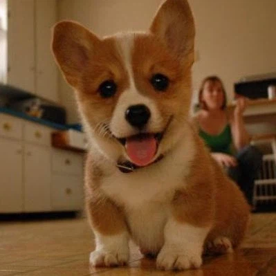 [혐] 이 와중에 또 사고 친 "그 인간"_6.webp