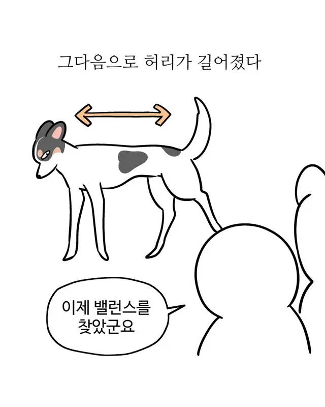 내 강아지 작아 병_7.webp