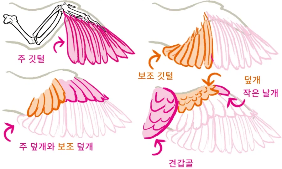 알고나서 되게 슬펐던거_1.webp