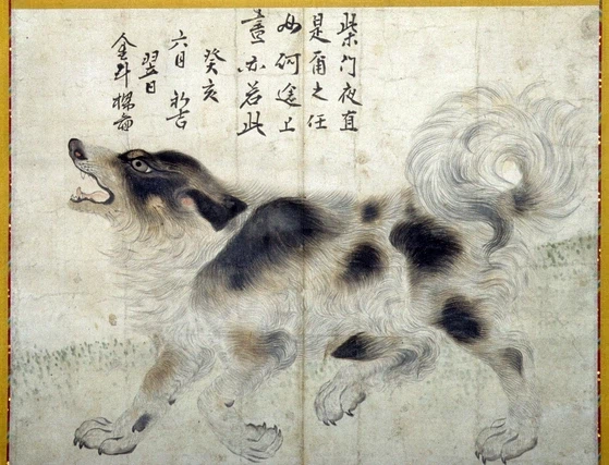 한국에서 이제 흔하지 않아진 강아지 이름.JPG_1.webp