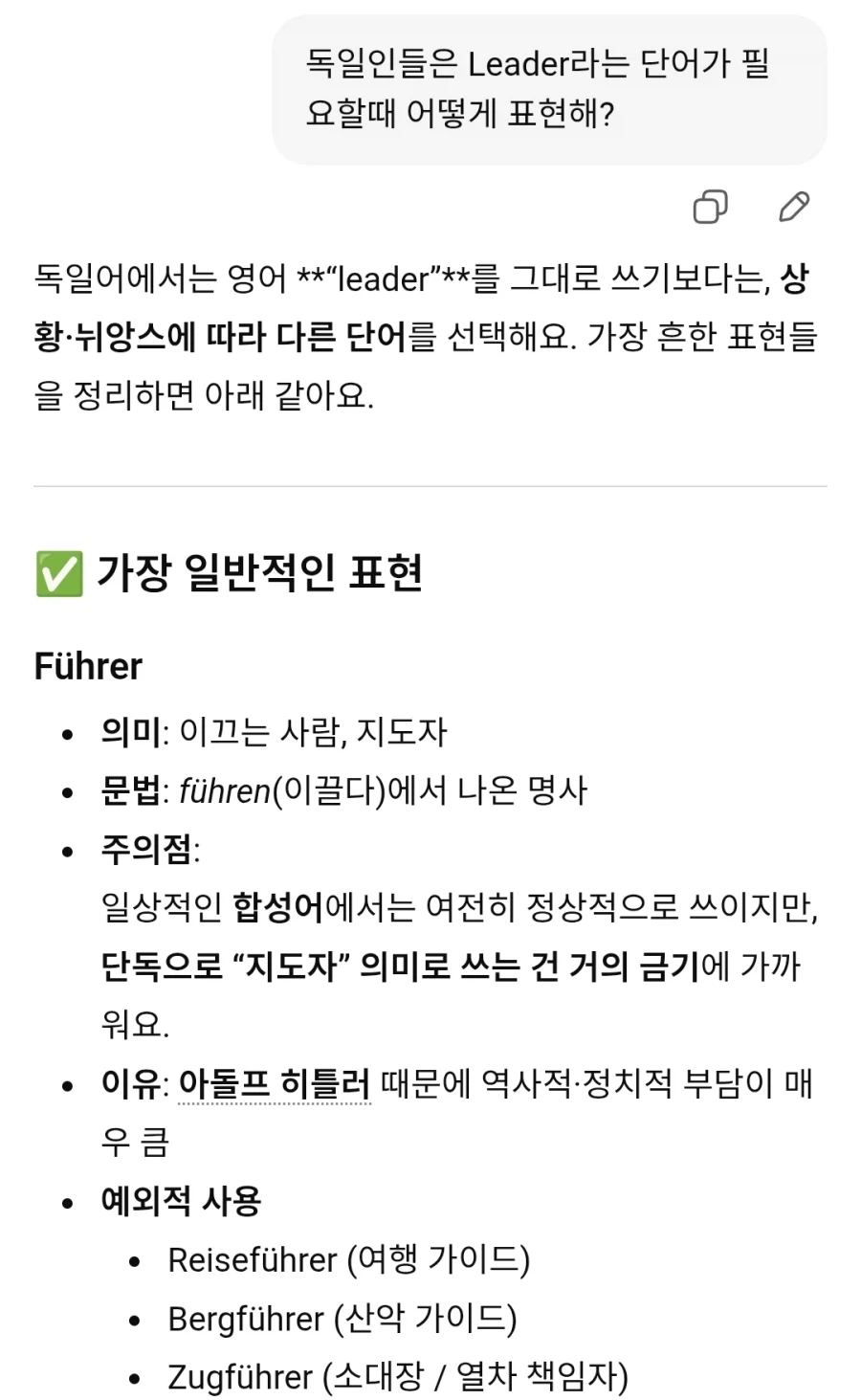 독일인들이 Leader의 독일어를 못 쓰는 이유...eu_3.webp