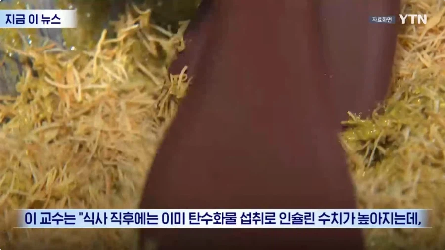 두쬰쿠 근황_19.webp