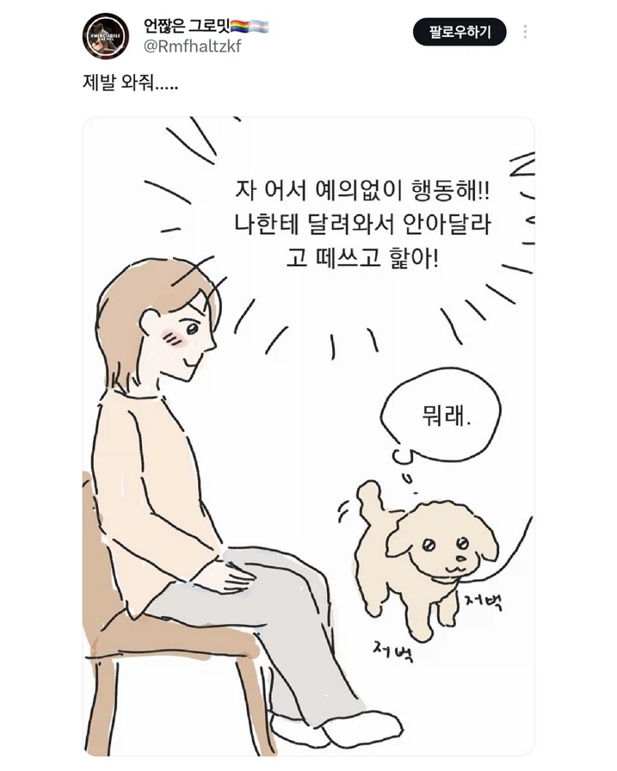 의젓하고 예의바른 요즘 강아지들_1.webp