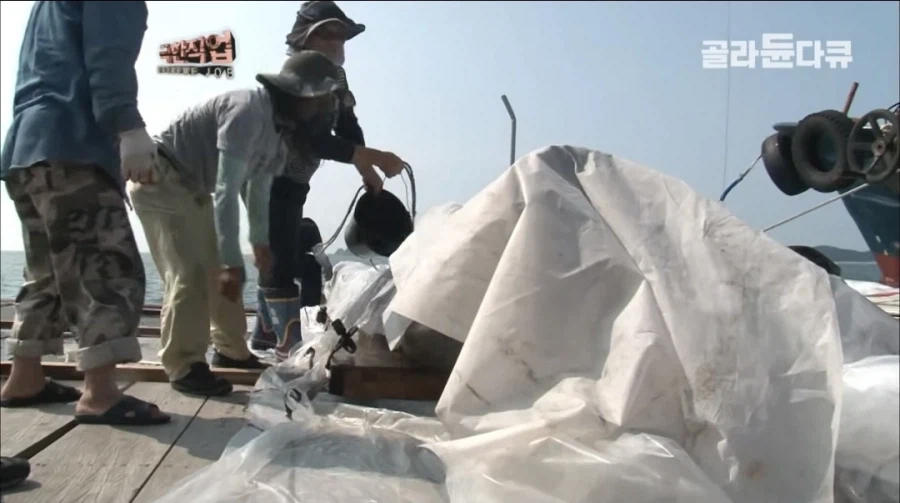 긴 글) 유튜브 보고 화나는건 처음이네요._41.webp