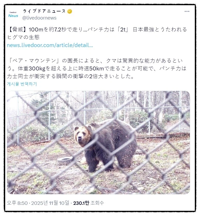 [가브,탄자부로] 라이더 스펙을 그대로 믿으면 안되는 이유_2.webp