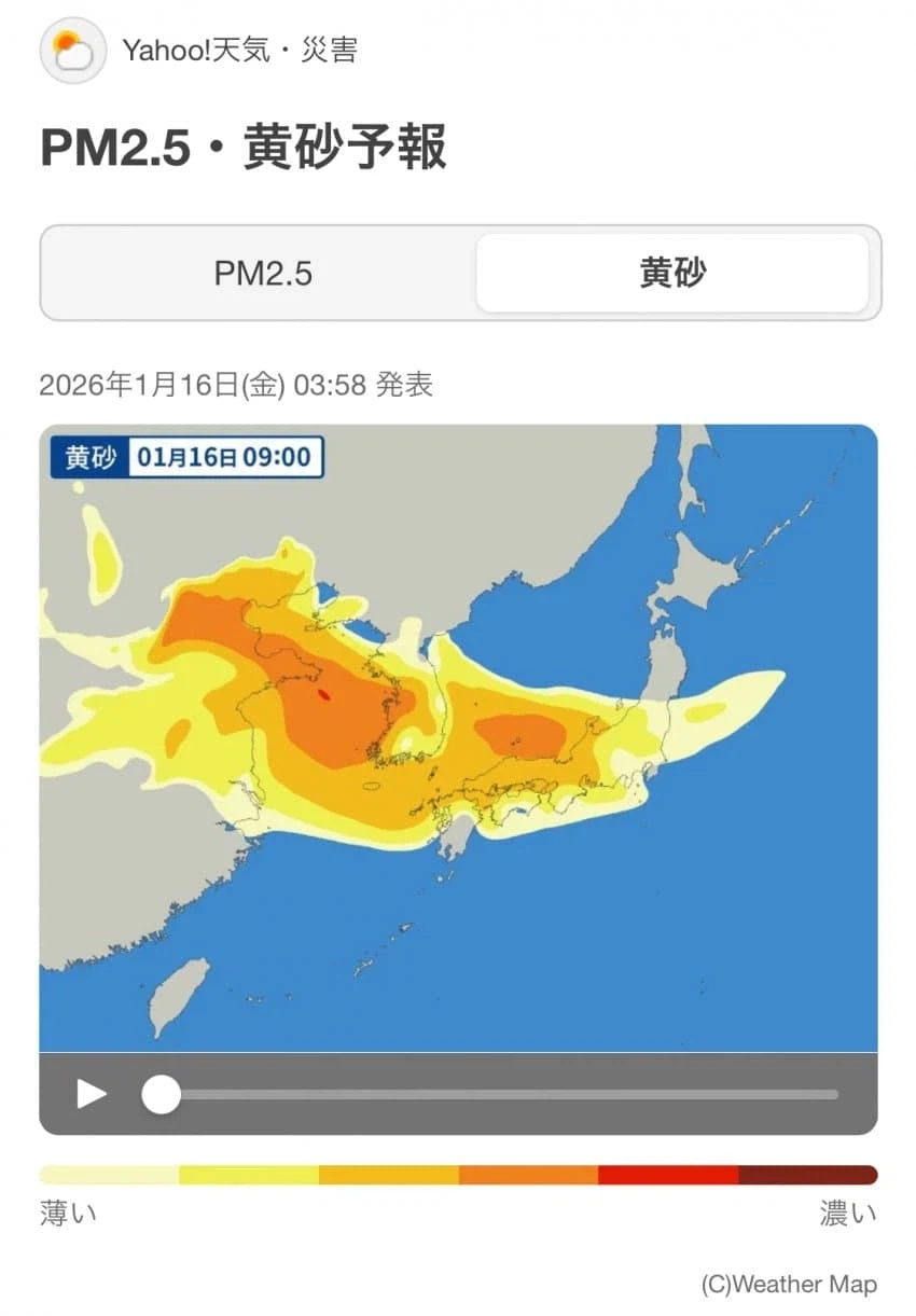 짱ㄲㅐ발 미세먼지 근황...._4.webp