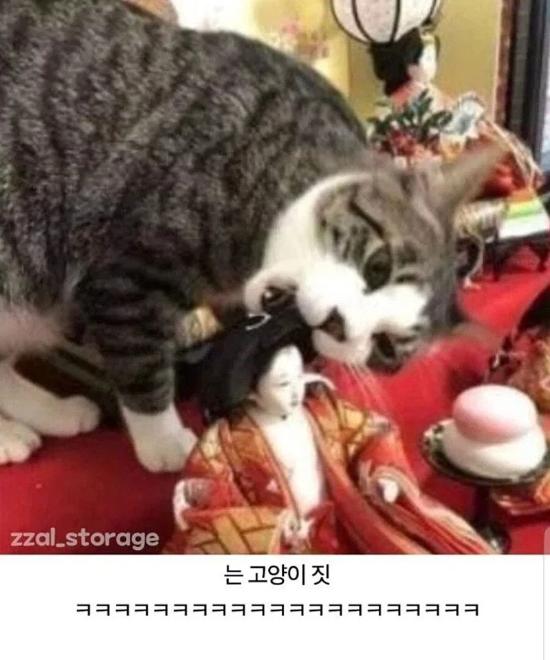 기괴한 일본 인형 사건 ㄷㄷ_4.webp