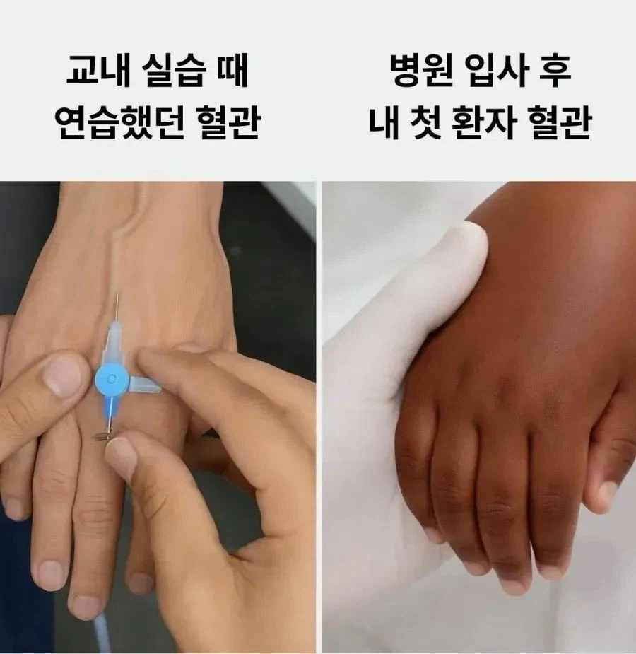 간호사의 연습과 실전.jpg_1.webp