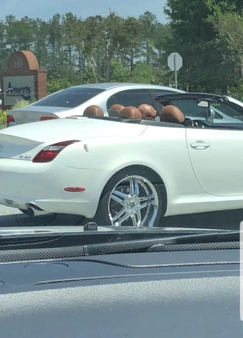 뭐야 저차는 자율주행 차인가???_1.webp