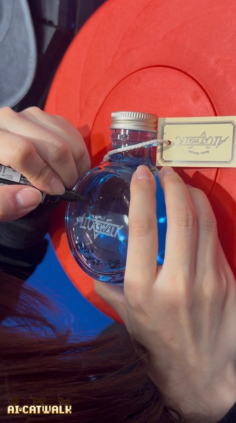 찾아라 냐래곤볼~_5.jpg