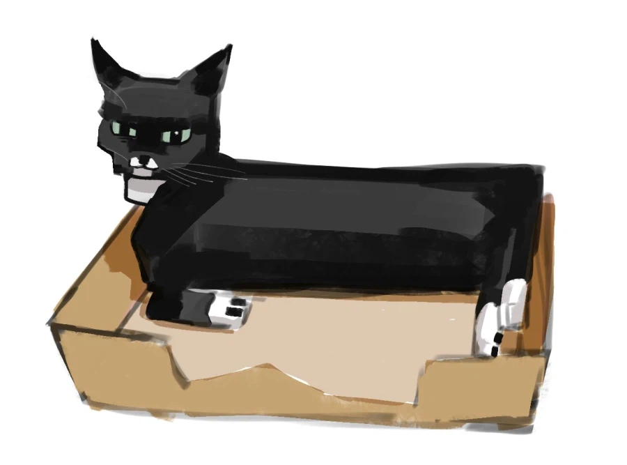 우리 집 막내 고우앵이 온지 1년 됐네_6.webp