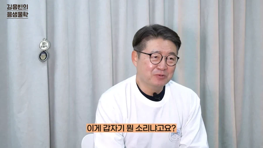 연세대 생물학 교수 유튜버가 포켓몬 컨텐츠를 시작한 이유_2.webp