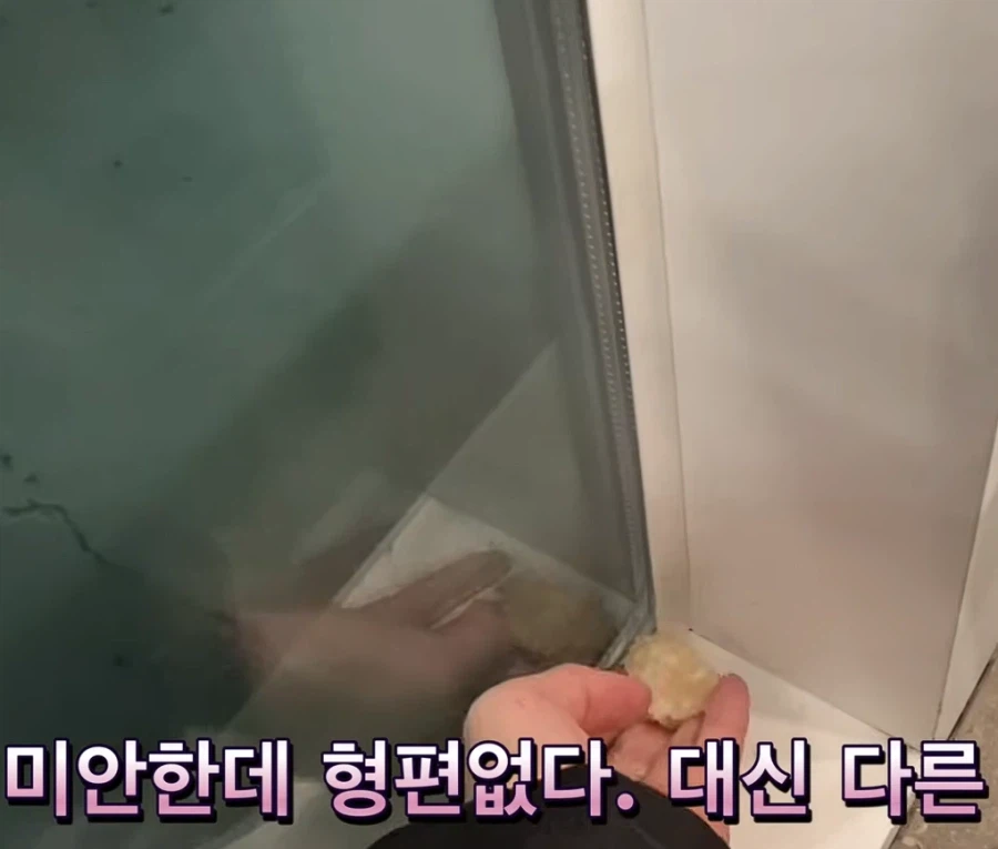 어느 유튜버의 독특한 쿠우쿠우 리뷰_10.webp